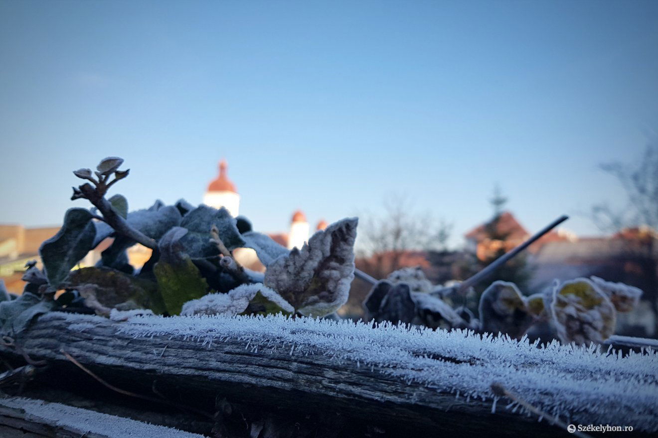Bár jelenleg a megszokotthoz képest enyhébb a tél, a meteorológusok nem zárják ki, hogy lesznek fagyok és havazások •  Fotó: Bálint István