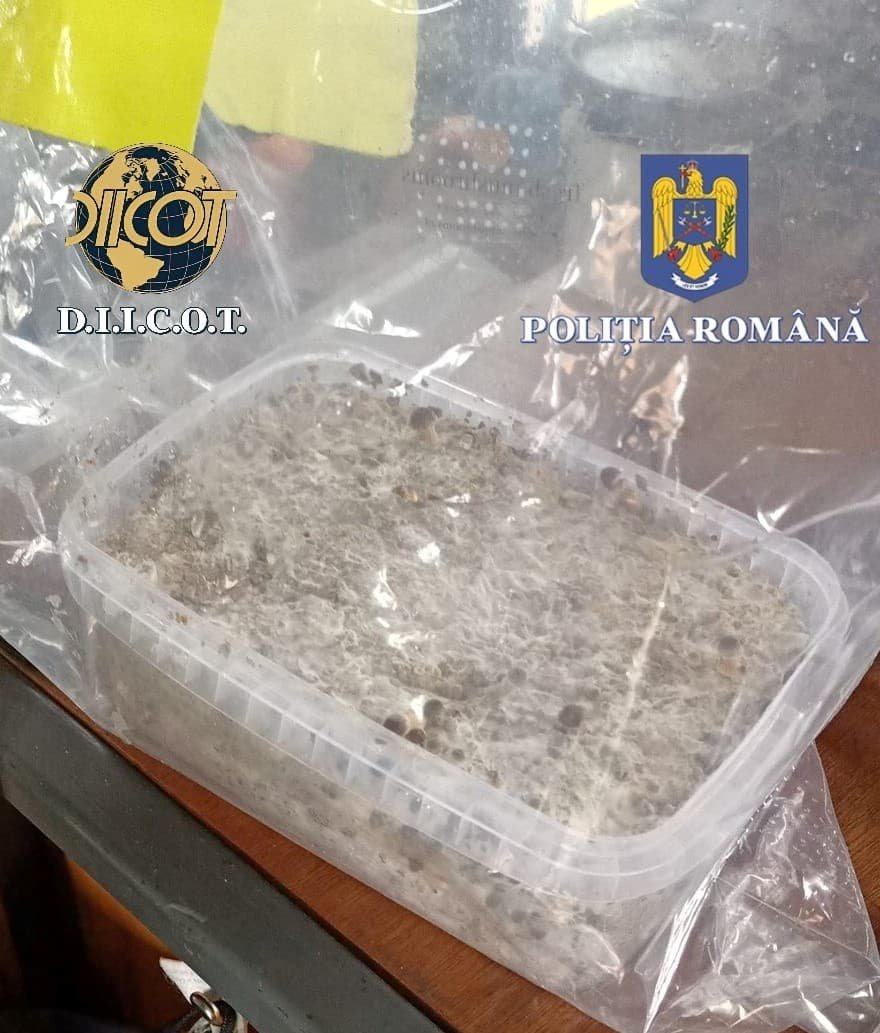 •  Fotó: Hargita Megyei Rendőr-főkapitányság