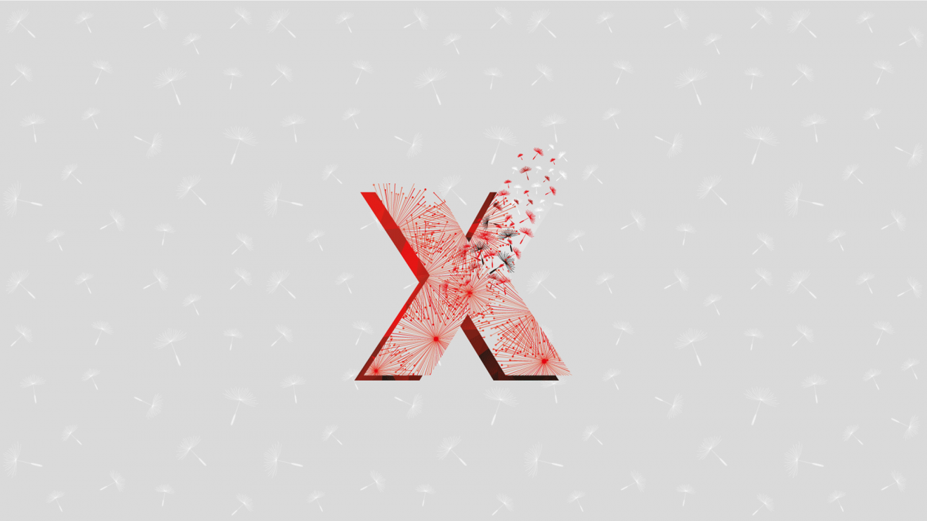 •  Fotó: Tedx Sepsiszentgyörgy