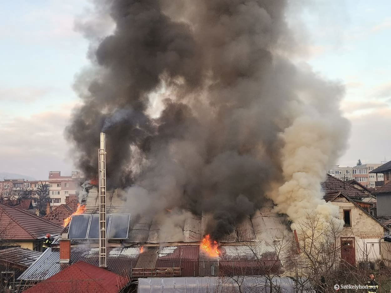 •  Fotó: Erdély Bálint Előd