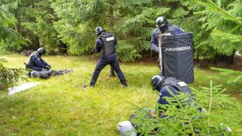 Maros megye: figyelmeztető lövésekkel tartóztatták fel a csendőrök a fatolvajokat