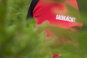 Sok dolguk akadt a hegyimentőknek