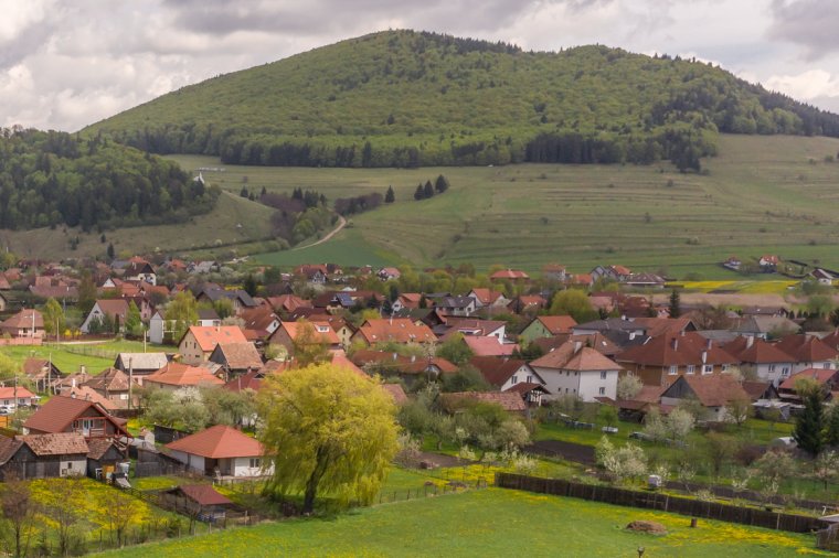 Csak jött és ment: már nem látták Csíksomlyón a medvét a csendőrök