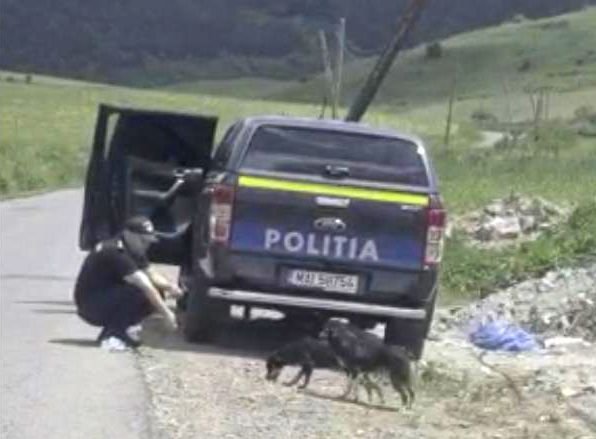 •  Fotó: Maros megyei rendőrség