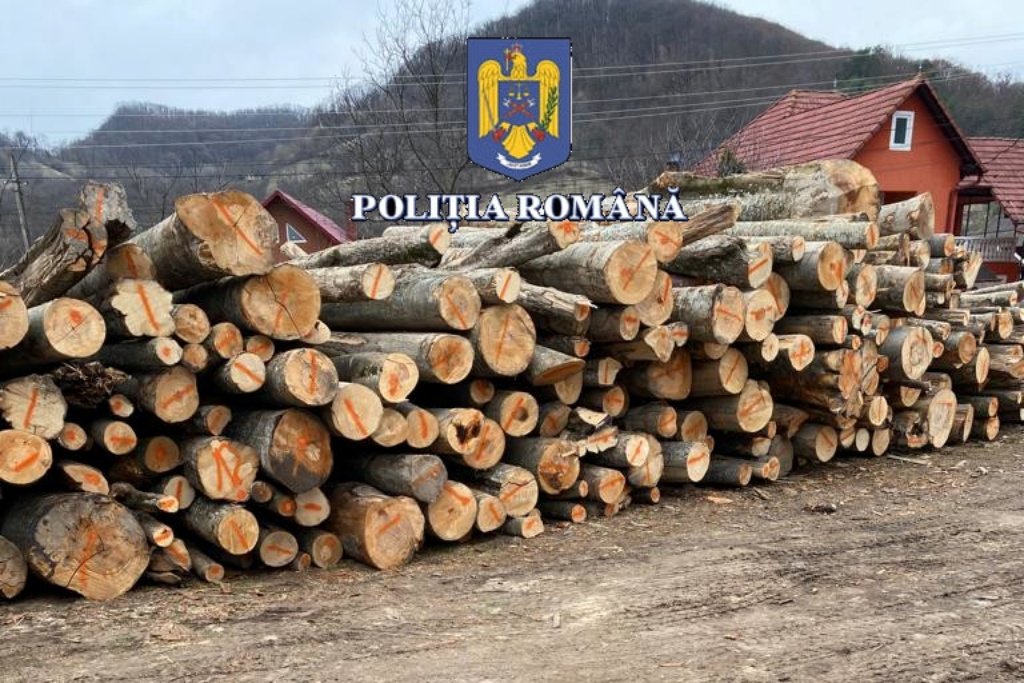 •  Fotó: Román Rendőrség