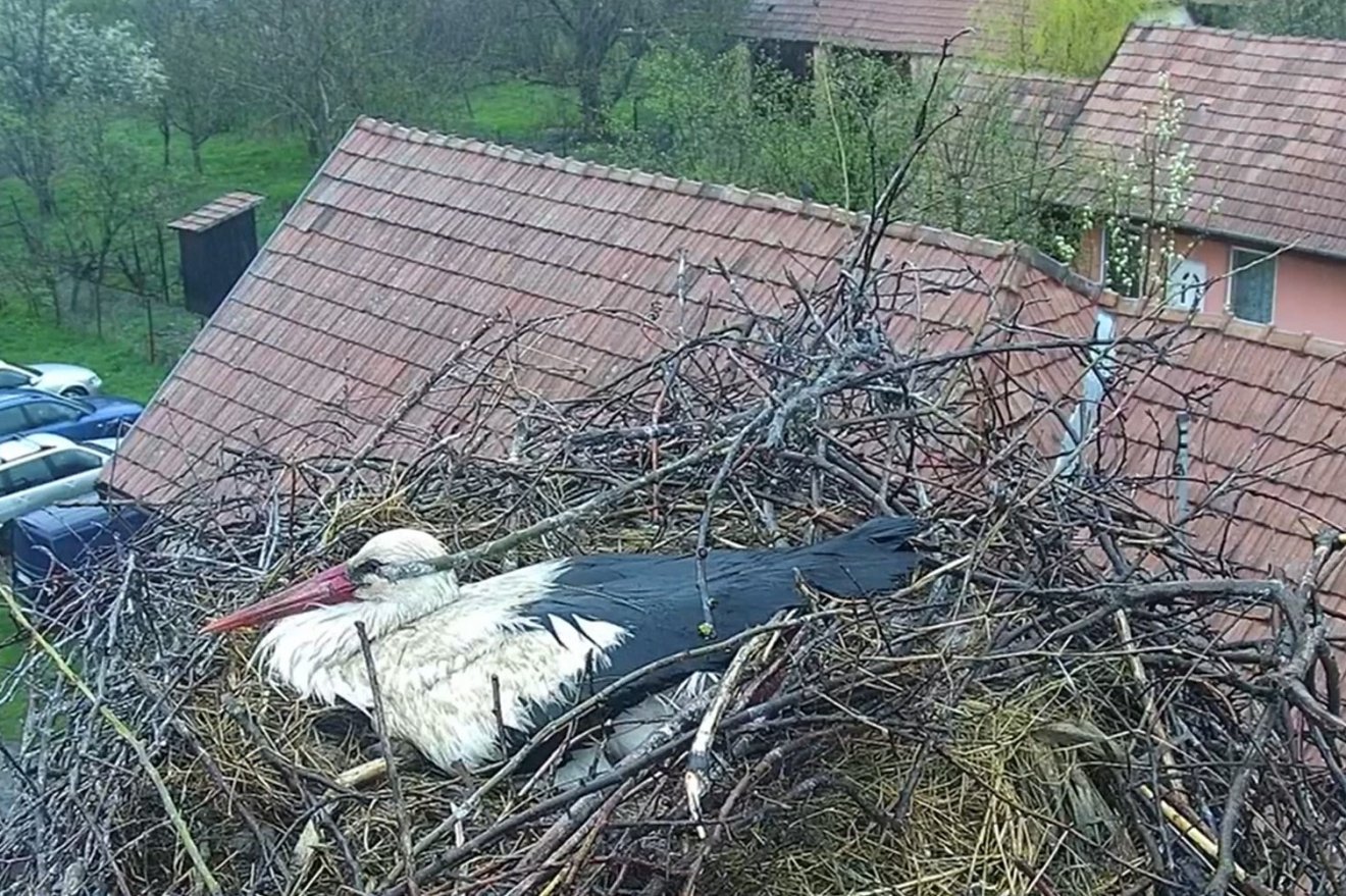 •  Fotó: Milvus Csoport