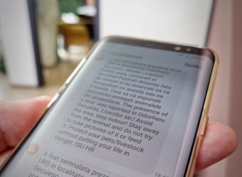 Nem tartja vissza sem a zaj, sem a világos a medvéket: újabb nagyvad merészkedett be Székelyudvarhelyre