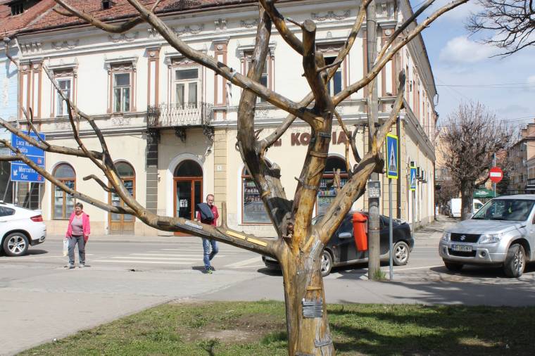 Gyergyói Világvándor – öt év után, decemberben