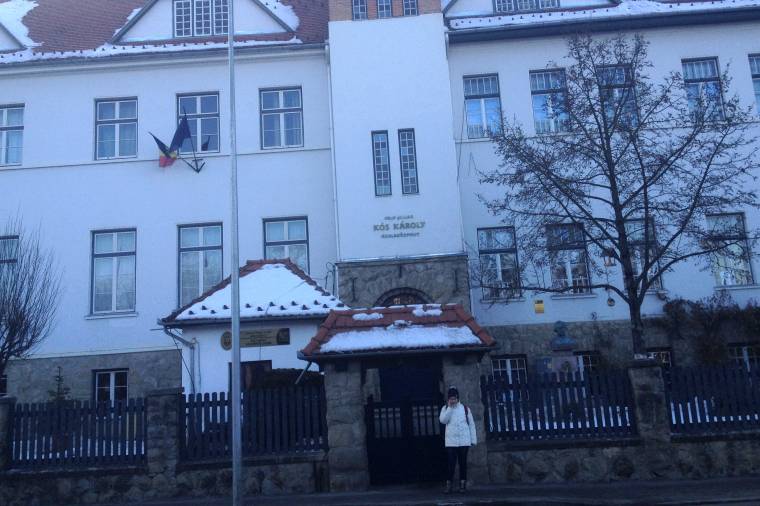 Leves, főzelék, pite, húsétel medvehagymával