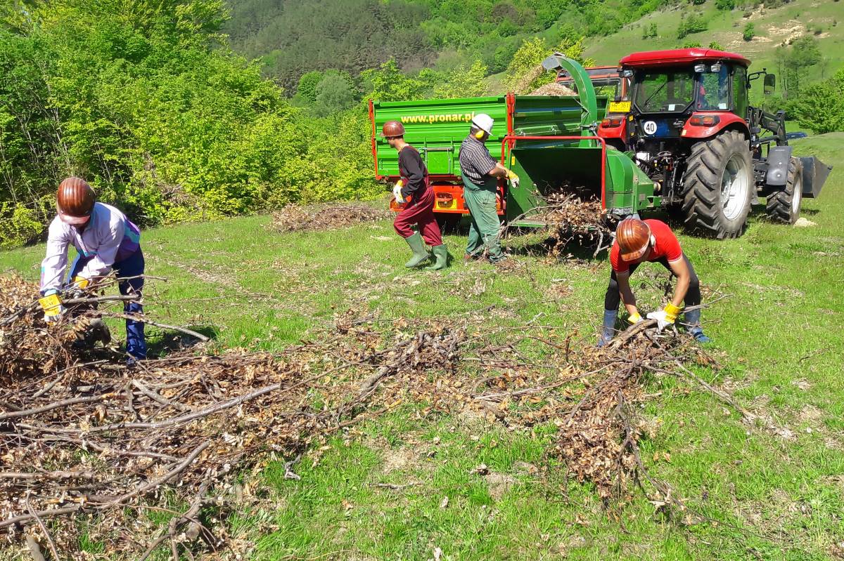 Begyűjtik a fahulladékot •  Fotó: Green Energy klaszter