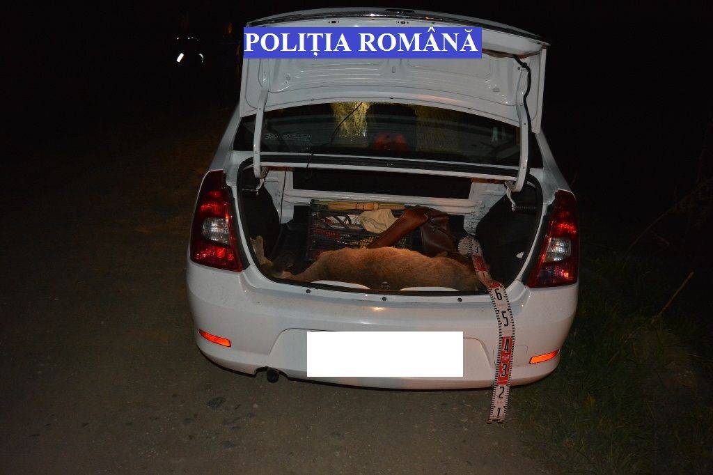 •  Fotó: Rendőrség