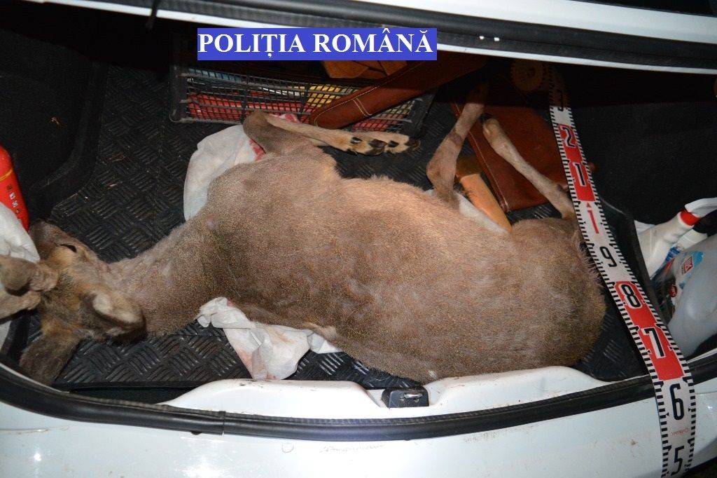 •  Fotó: Rendőrség