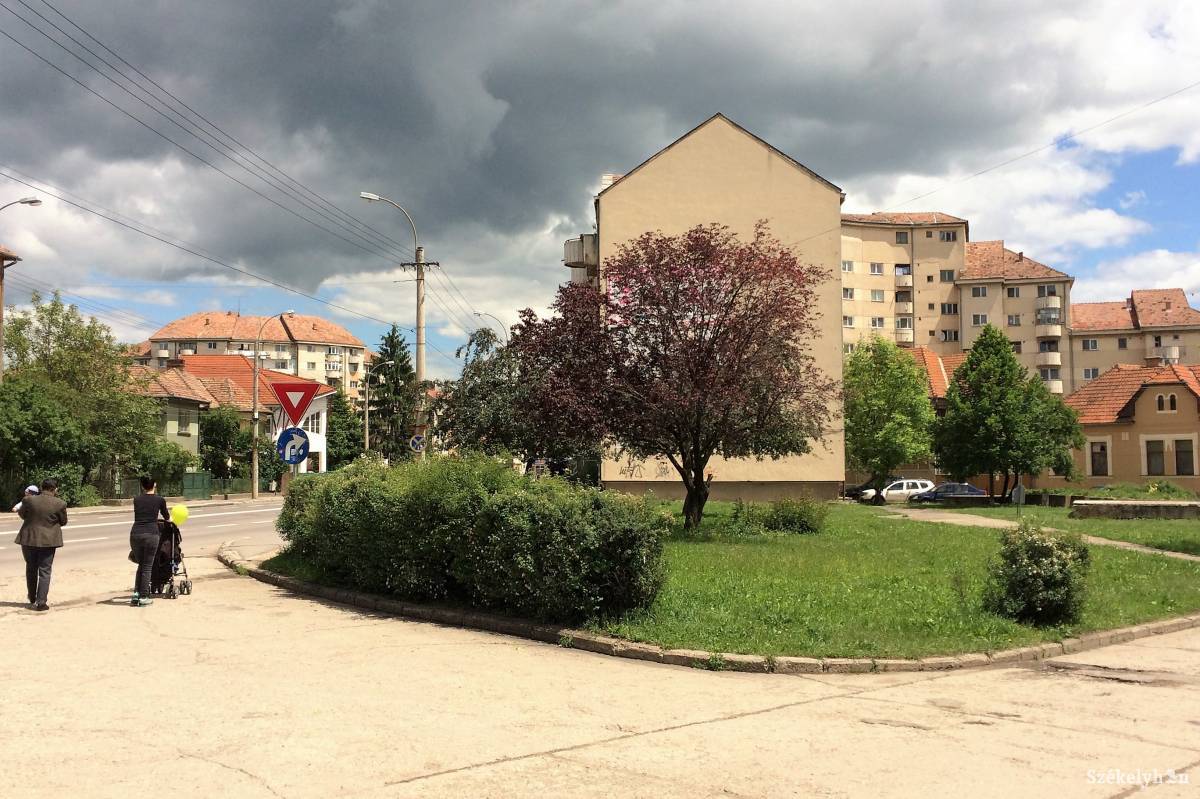 Ide tervezik kialakítani a parkot •  Fotó: Bíró Blanka