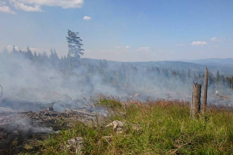 Cigarettacsikk miatt gyúlhatott ki az erdő a Hargitán