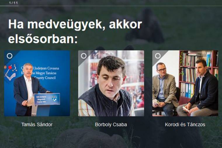 A nagy székelyhonos medvekvíz