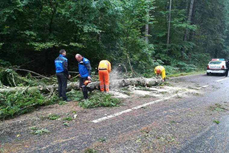 Kórházépületeket rongált meg, fákat döntött ki a vihar