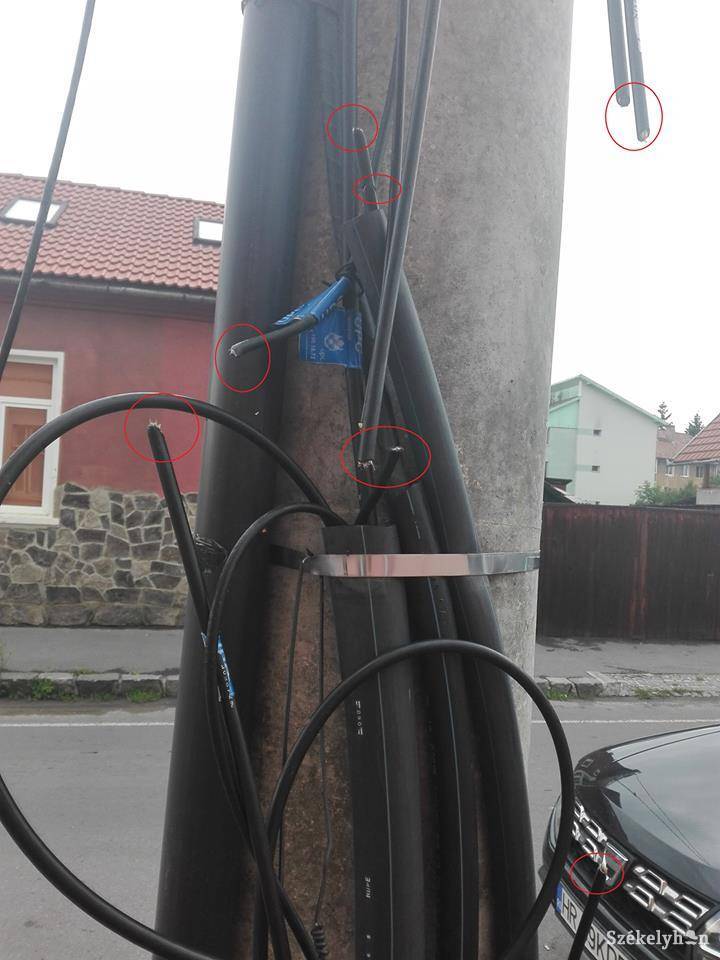 •  Fotó: Olvasói felvétel
