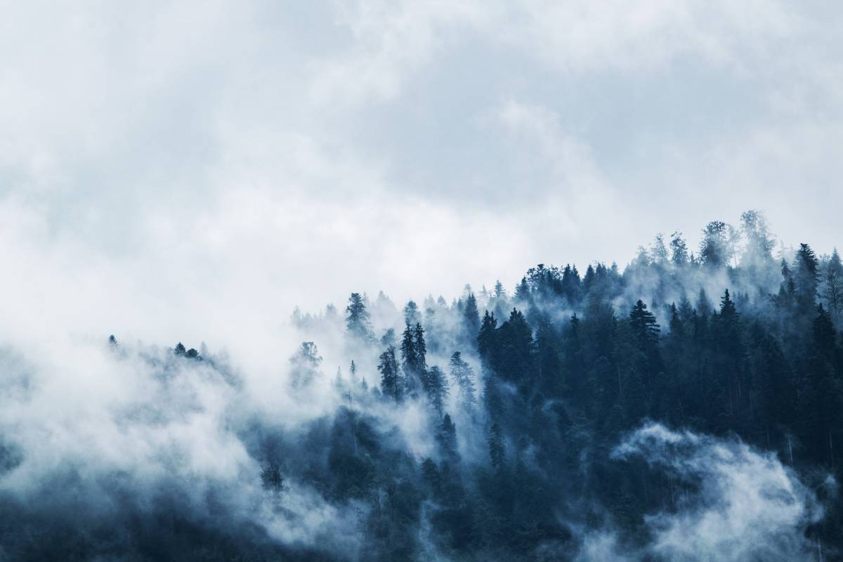 Illusztráció •  Fotó: Pexels