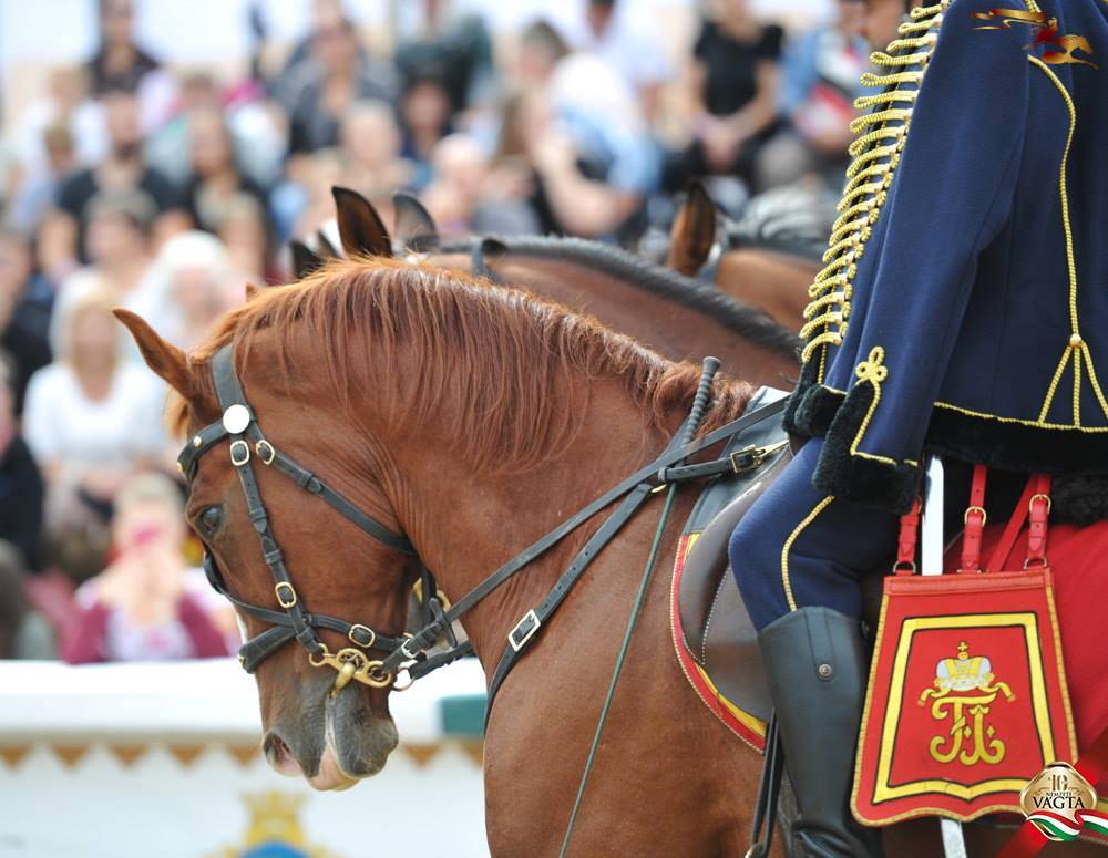 &bullet;  Fotó: Nemzeti Vágta