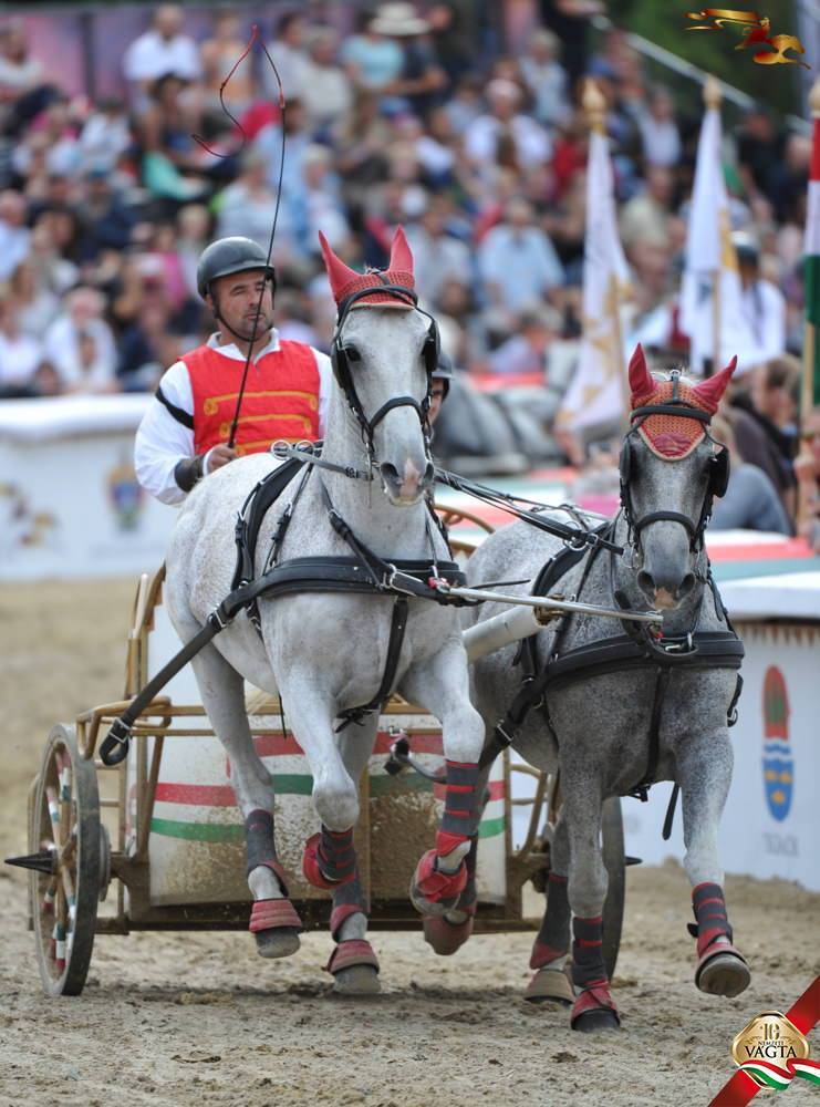 &bullet;  Fotó: Nemzeti Vágta