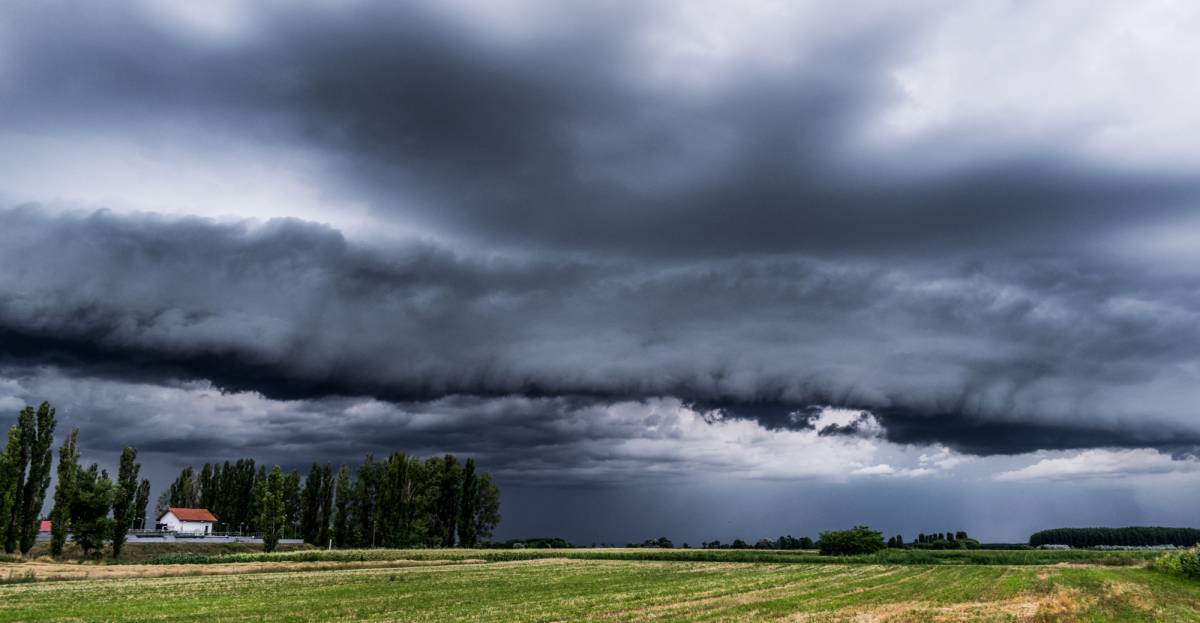 •  Fotó: Viharvonal