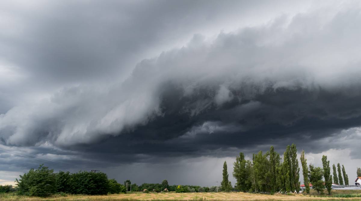 •  Fotó: Viharvonal