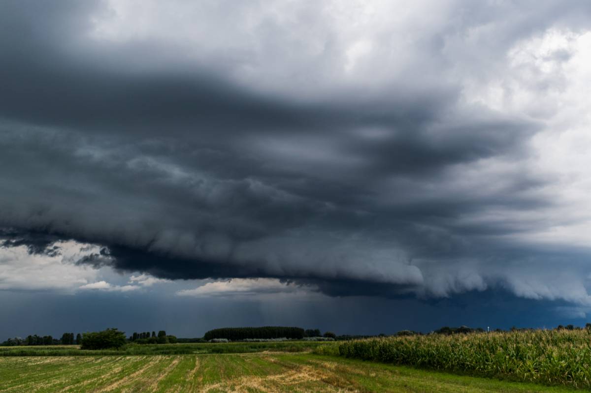 •  Fotó: Viharvonal