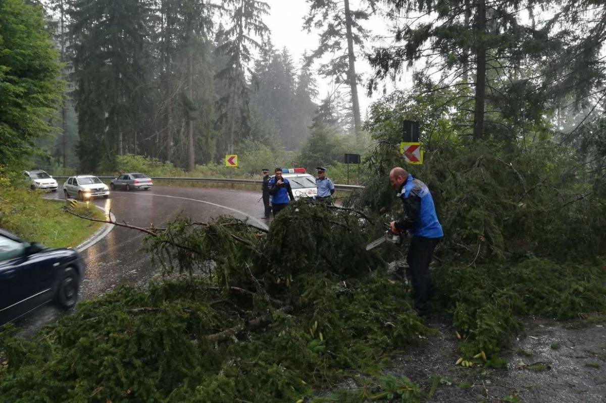 Tusnádfürdő közelében is fennakadásokat okozott a közúti forgalomban a vihar •  Fotó: Facebook/Hargita Megyei Csendőrség