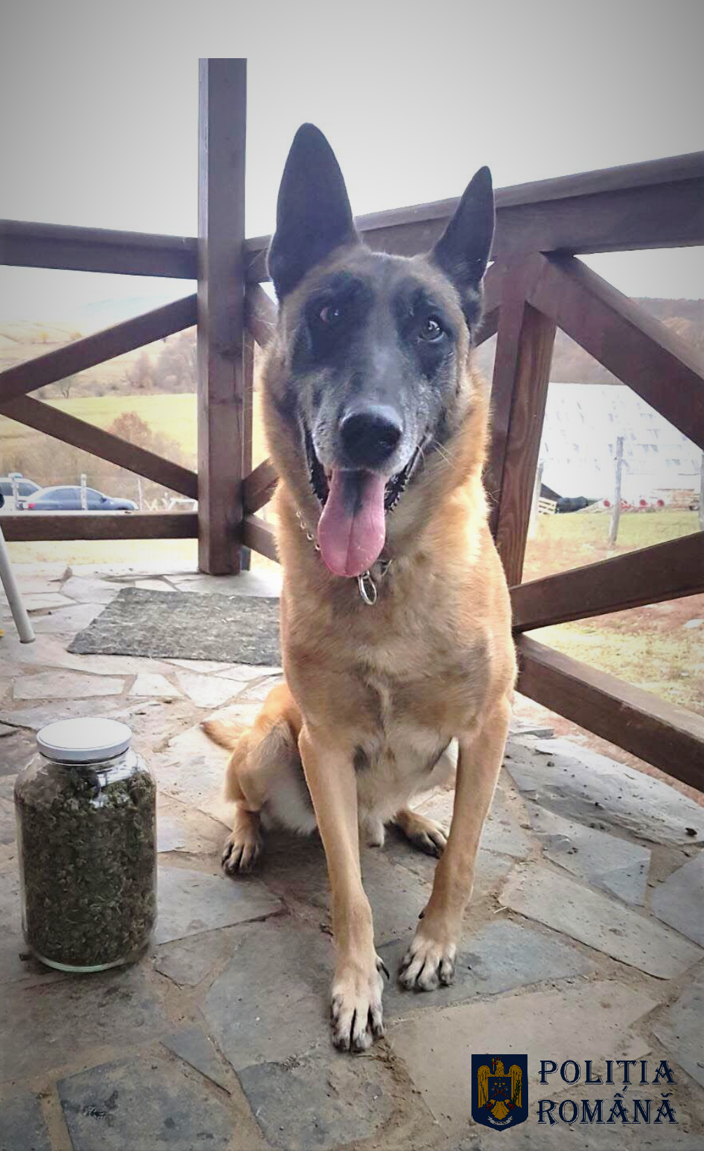 • Fotó: Rendőrség