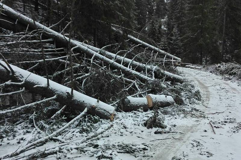 •  Fotó: Hargita megyei tűzoltóság