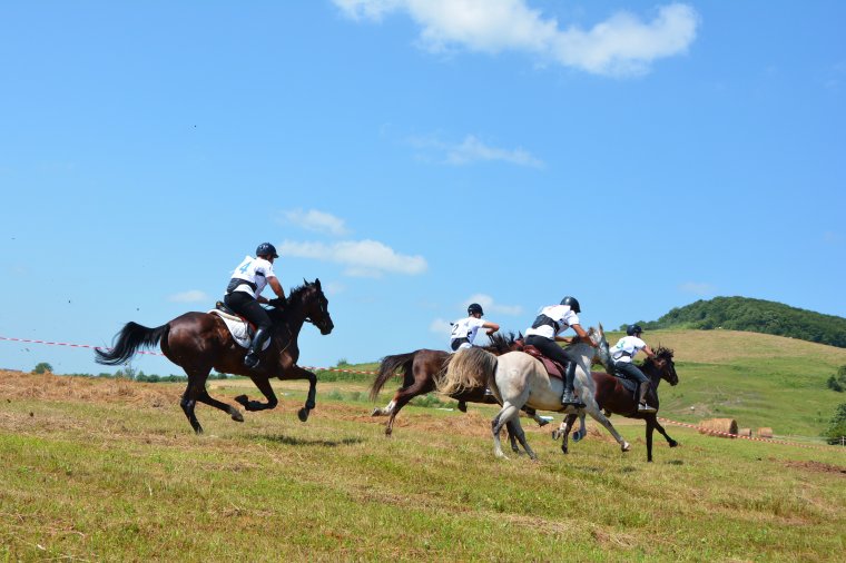 Marosszéki Lófuttatás: úgy gondolták, hogy talán abba kellene hagyniuk, aztán másképp döntöttek