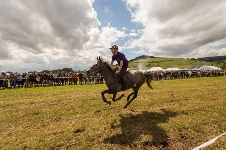 Marosszéki Lófuttatás angol futammal is