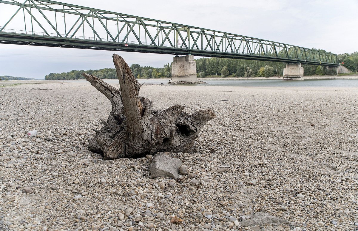•  Fotó: Krizsán Csaba/MTI