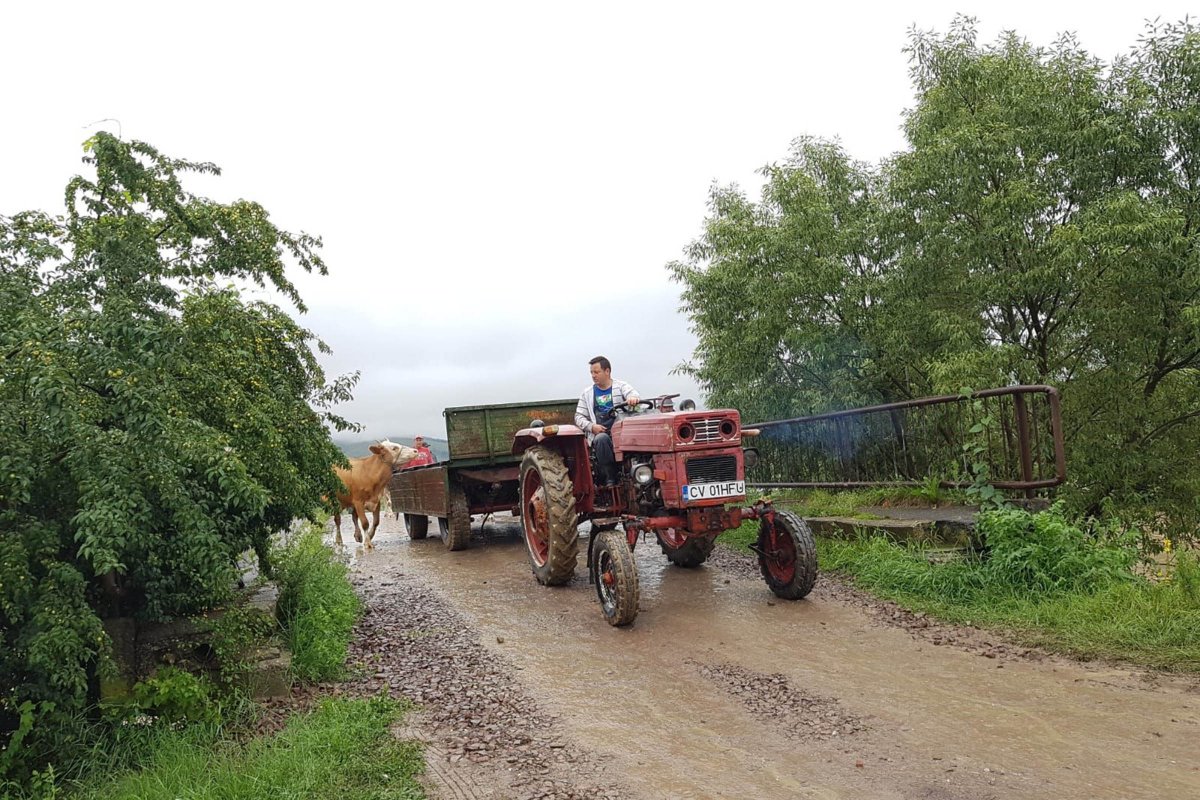 •  Fotó: Kovászna megyei tűzoltóság