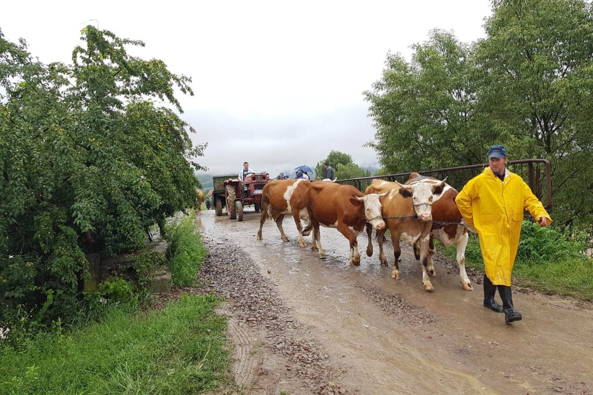 •  Fotó: Kovászna megyei tűzoltóság