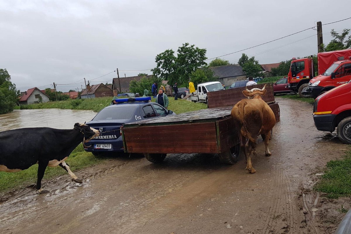 •  Fotó: Kovászna megyei tűzoltóság