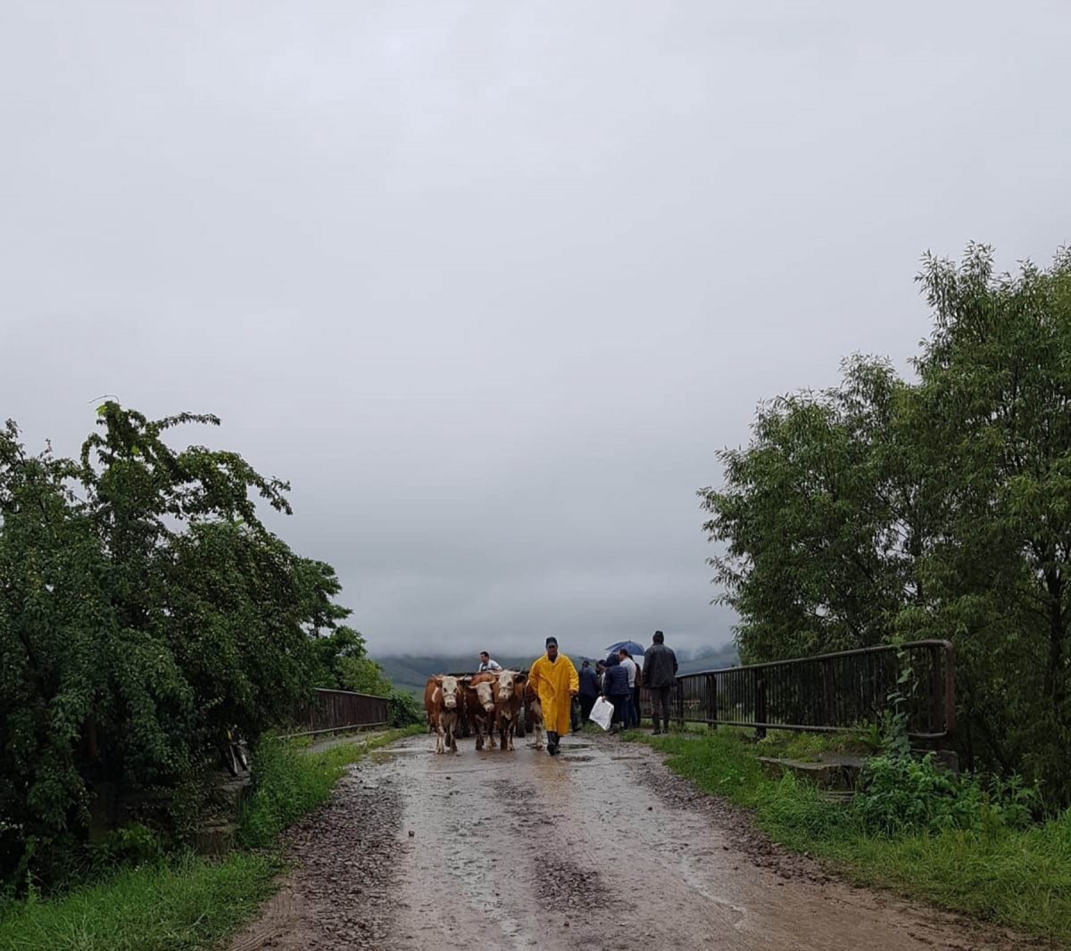 • Fotó: Kovászna megyei tűzoltóság