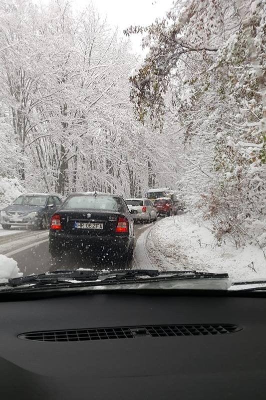Araszolás a Cekend-tető után •  Fotó: Udvarhelyi Közlekedési Info