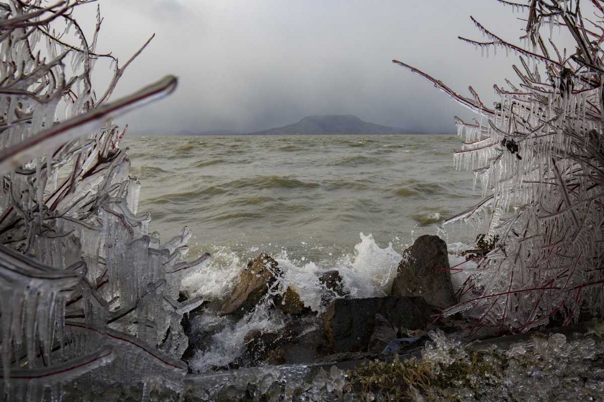 Jégcsapok a bokrok ágain a Balaton-parton Fonyódnál 2019. január 3-án •  Fotó: Varga György/MTI