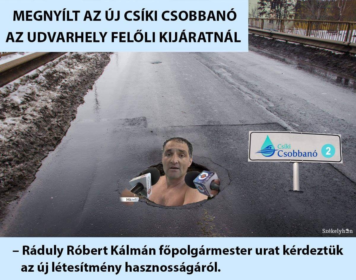 Beküldő: O.Gi 