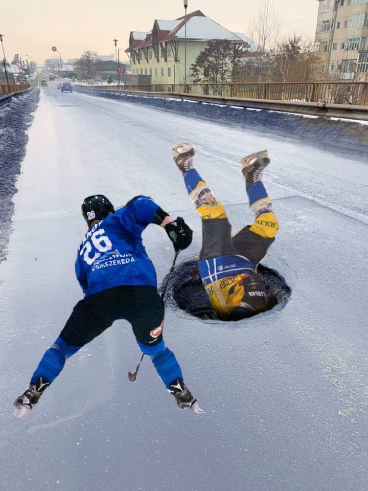 Beküldő: Szakács Szidónia 