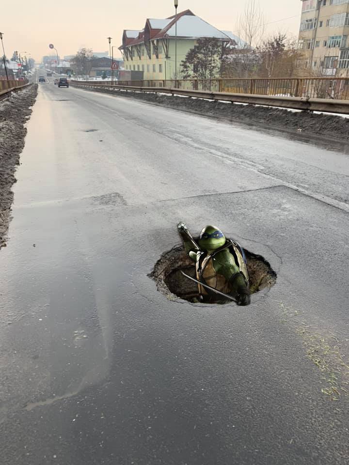 Beküldő: Laczkó Nándor 