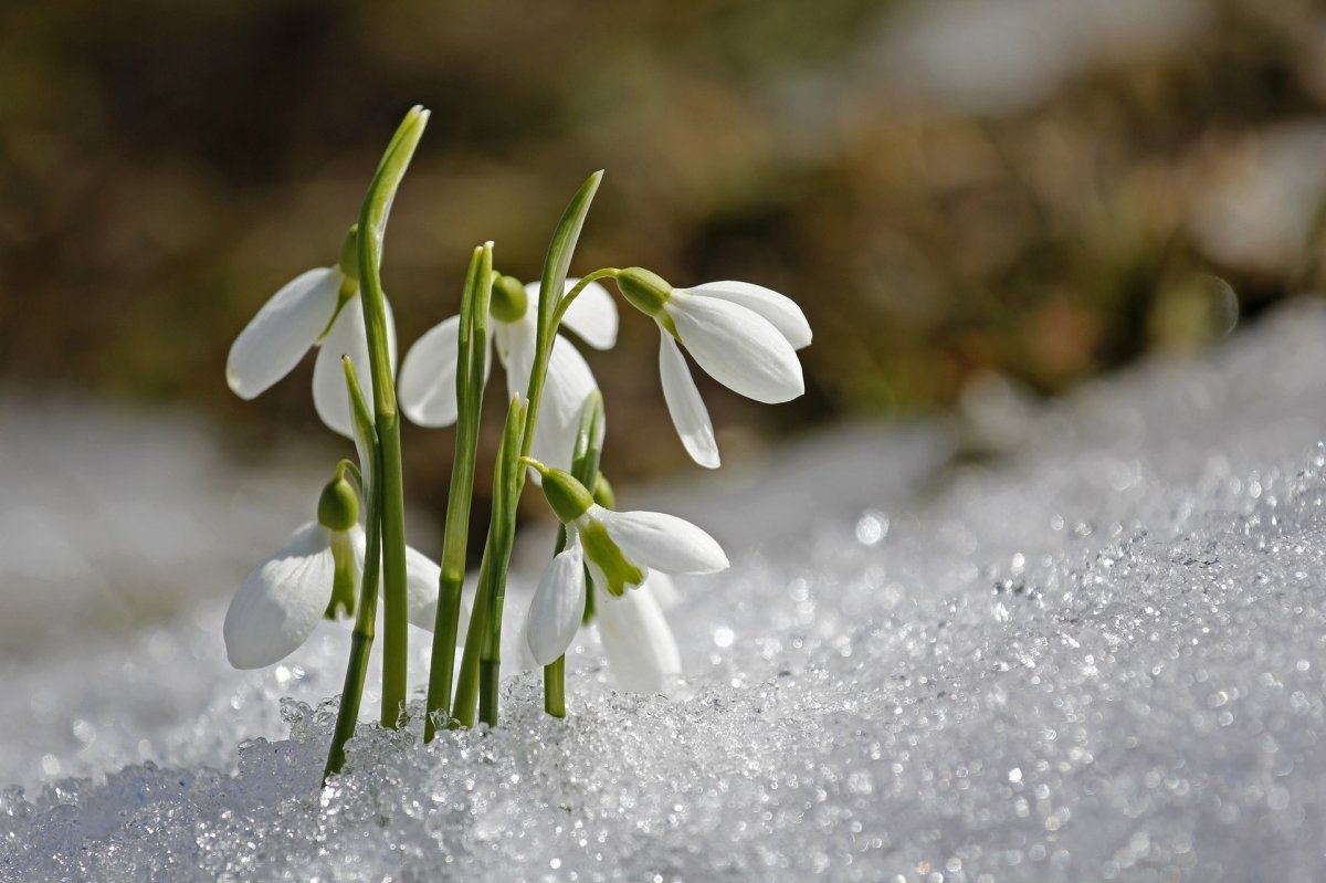 Képünk illusztráció •  Fotó: Pixabay