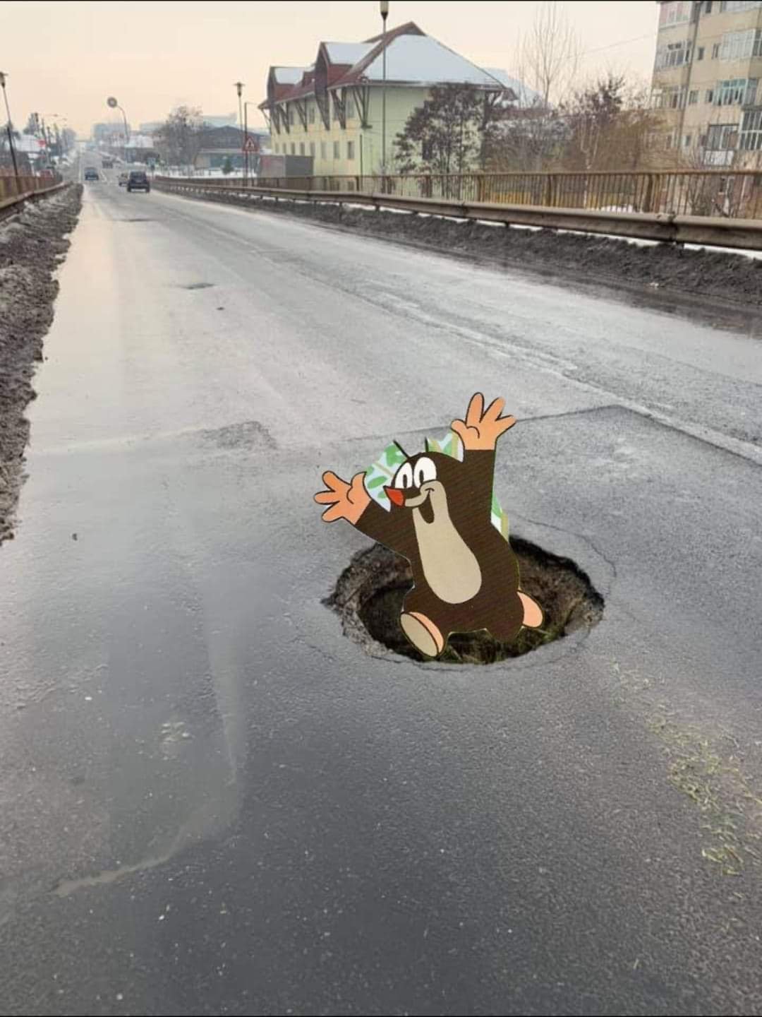 Beküldő: Név nélkül 