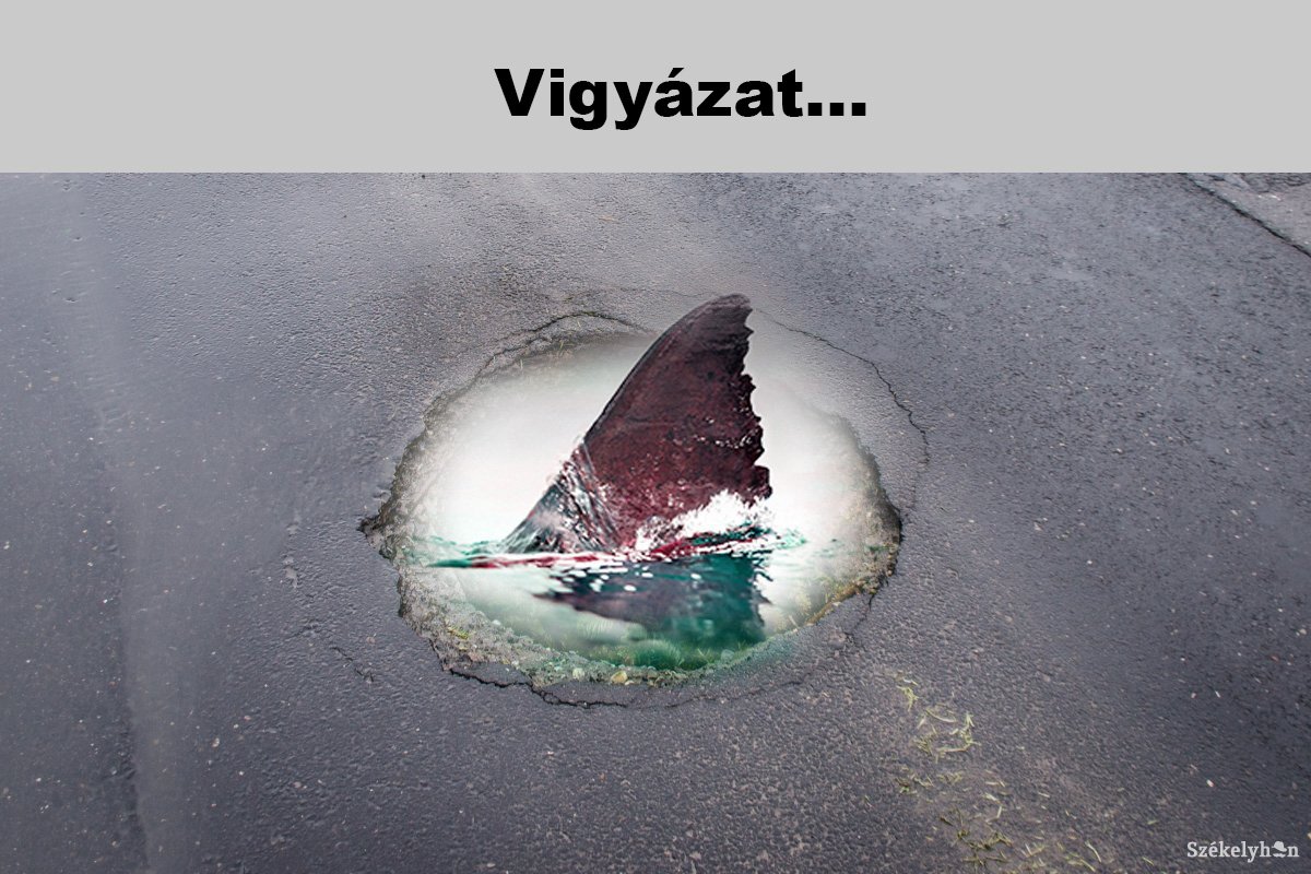 Kollégánktól 