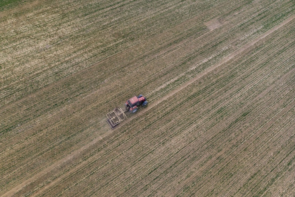 Nem egyszerű a helyzet. Az előkészületekkel dolgoznak az APIA munkatársai •  Fotó: Varga György/MTI