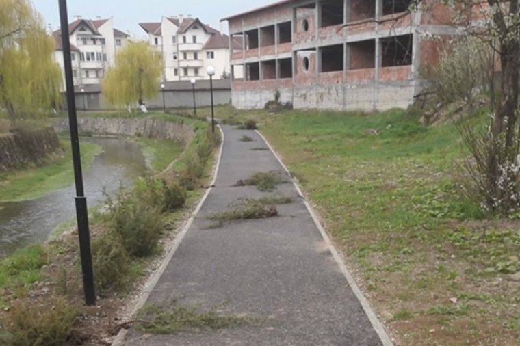 Borókafenyő-csemetéket tépett ki a földből, térfigyelő kamerák segítségével azonosították