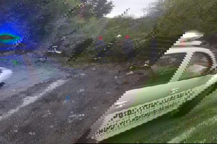 Fákat döntött ki a viharos szél
