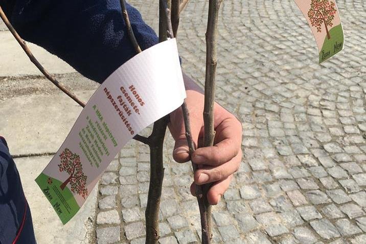 •  Fotó: Háromszéki Közösségi Alapítvány