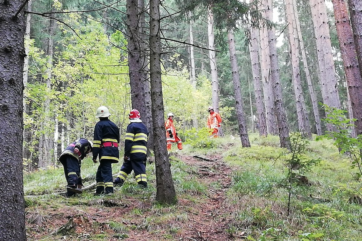 Tűzoltók és mentősök dolgoztak össze, hogy megmentsék a sérültet. Képünk illusztráció •  Fotó: Székelyhon